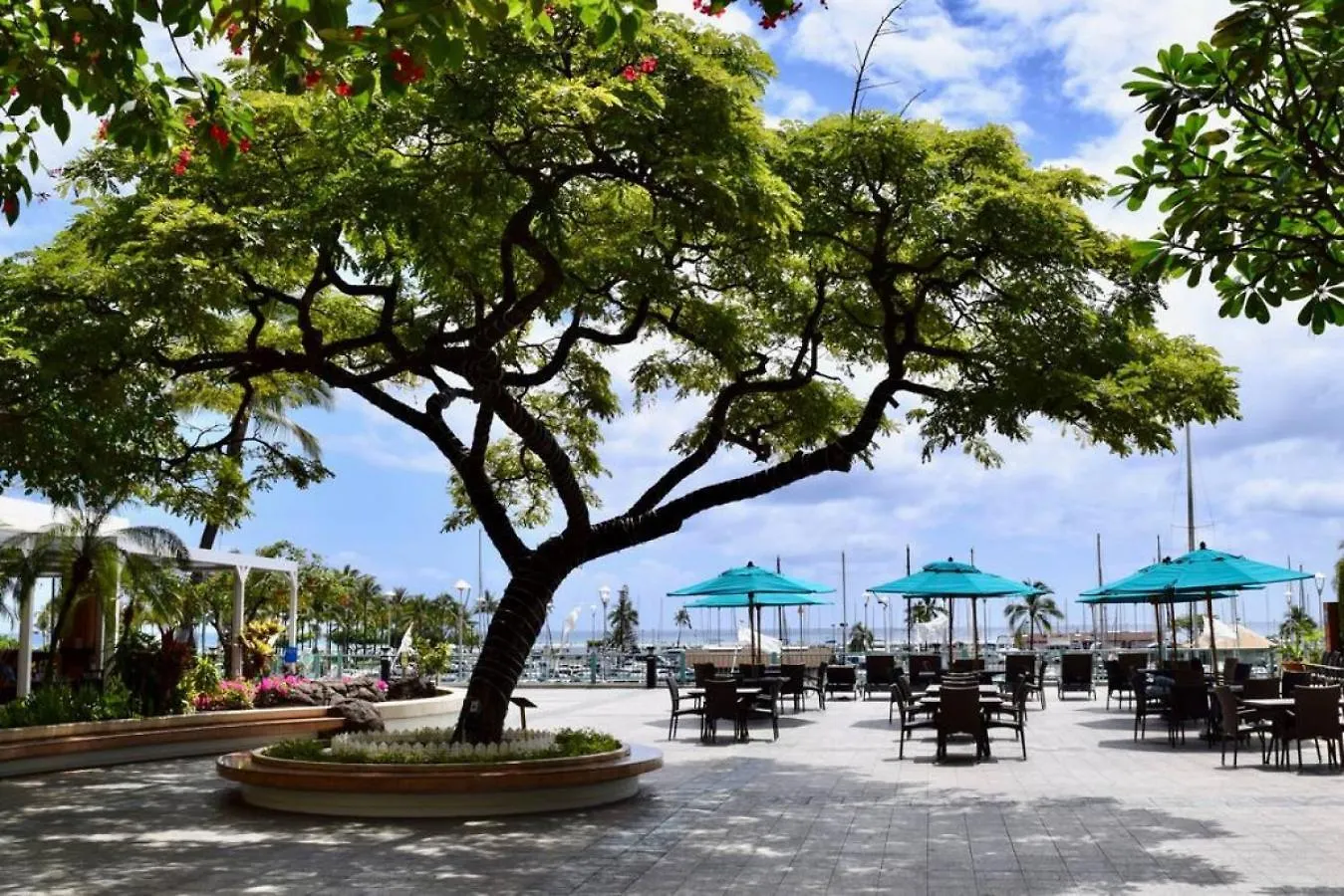 Apartmán 1419 Ilikai Collection 5 Luxury And Beachfront Location Honolulu